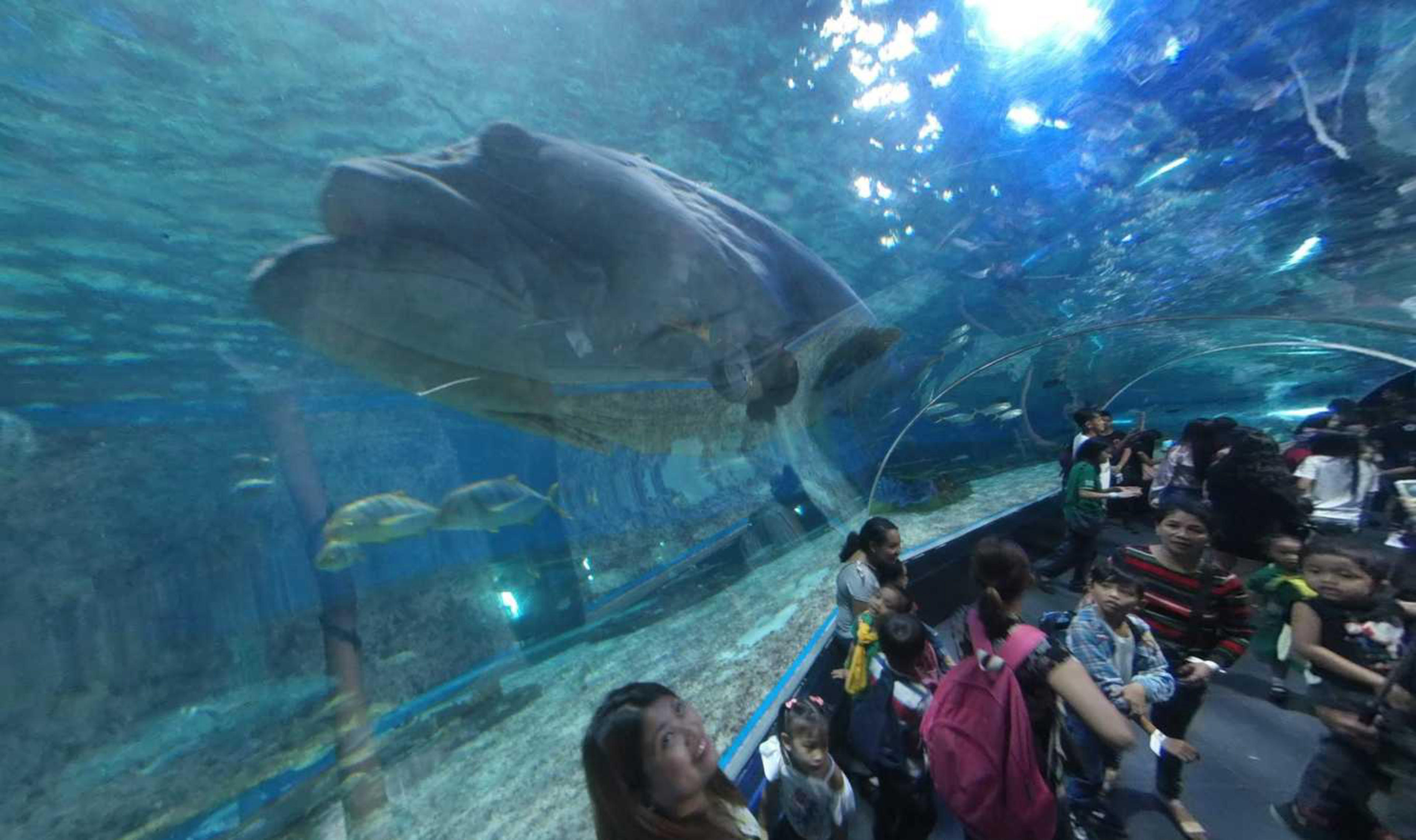 Manila Ocean Park, Manila, Philippines virtual tour preview